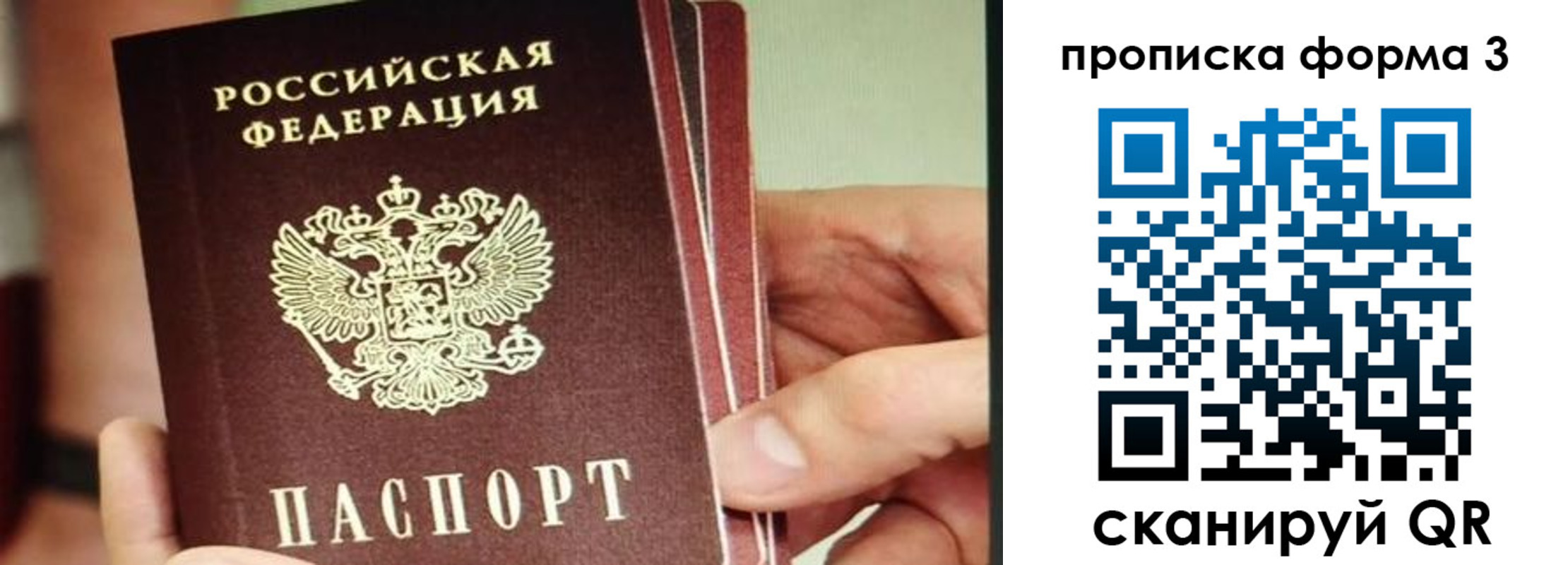 прописка законно в Курганинске